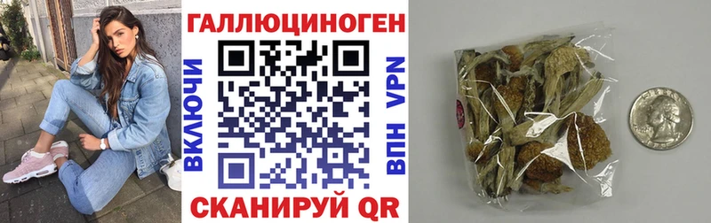 купить наркотики цена  Мамоново  Псилоцибиновые грибы Psilocybine cubensis 